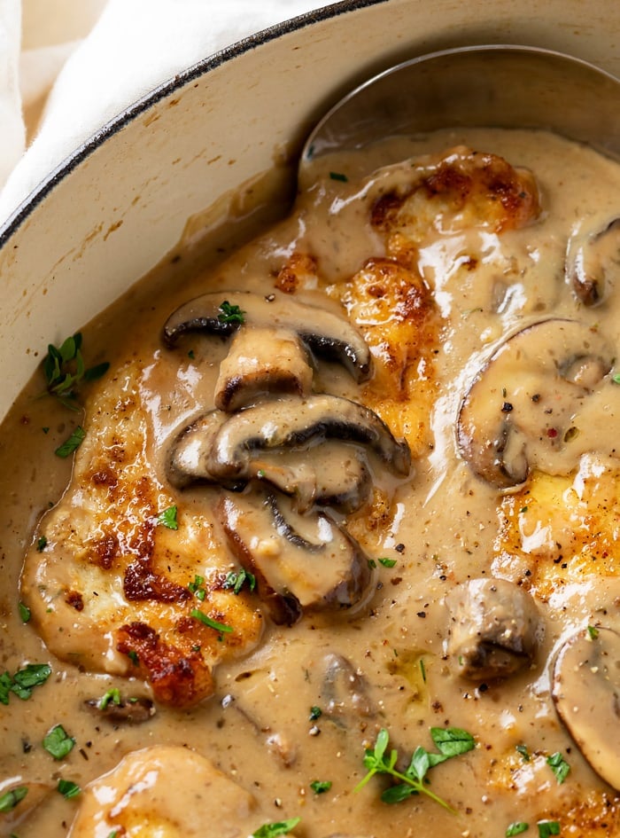 Mushroom chicken in a pot with parsley and thyme.