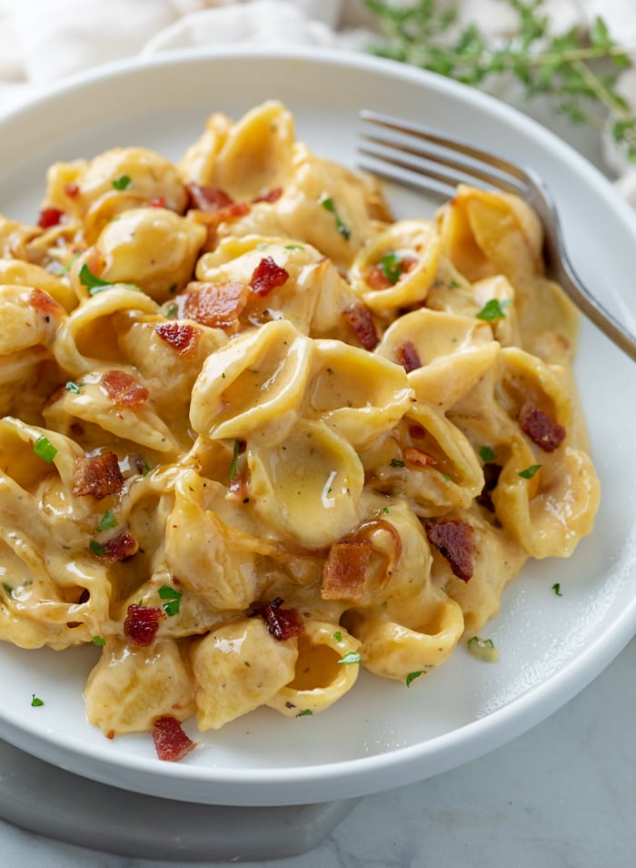 A white plate with Creamy Bacon Mac and Cheese with shell pasta.