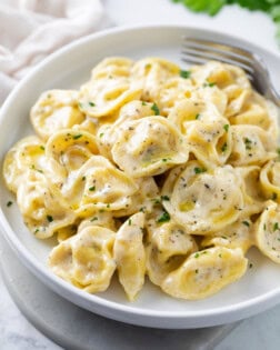A white plate with tortellini in a cream sauce with herbs.