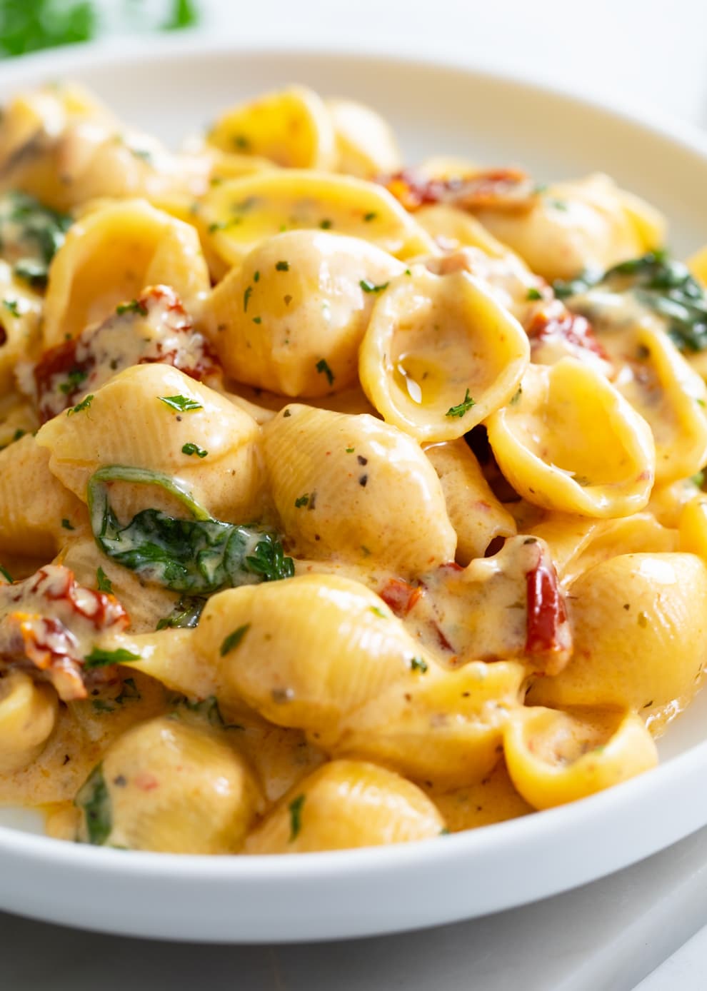 A close up view of Tuscan Mac and Cheese on a plate with pasta shells in a creamy cheese sauce.