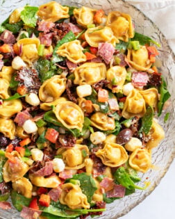 Tortellini Pasta Salad in meat, vegetables, and cheese in a glass bowl.